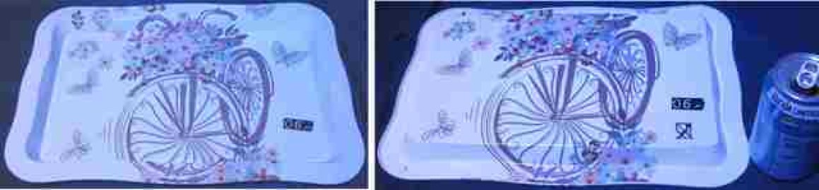 06-FUENTE-BANDEJA-BICICLETA-FLORES