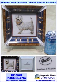 BANDEJA-FUENTE-PORCELANA-TERRIER-BLANCO-21X21CMS