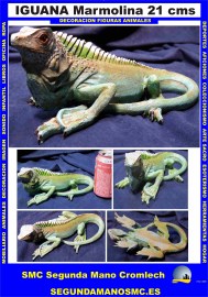 IGUANA-MARMOLINA-21-CMS