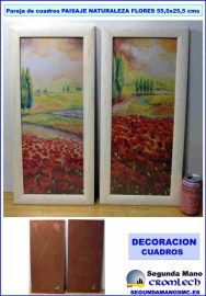 PAREJA-DE-CUADROS-PAISAJE-NATURALEZA-FLORES-56X26-CMS.jpg