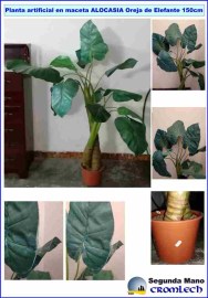 PLANTA-ARTIFICIAL-EN-MACETA-ALOCASIA-OREJA-DE-ELEFANTE-150CM.jpg